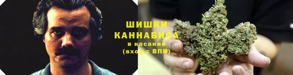 2c-b Иннополис