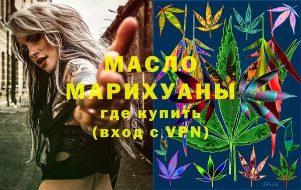 2c-b Инсар