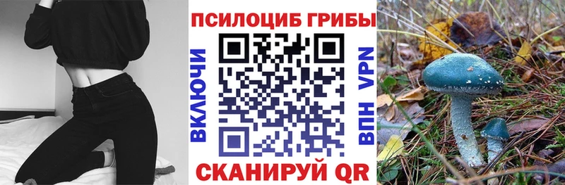Псилоцибиновые грибы мицелий  hydra ссылки  Болгар  как найти наркотики 